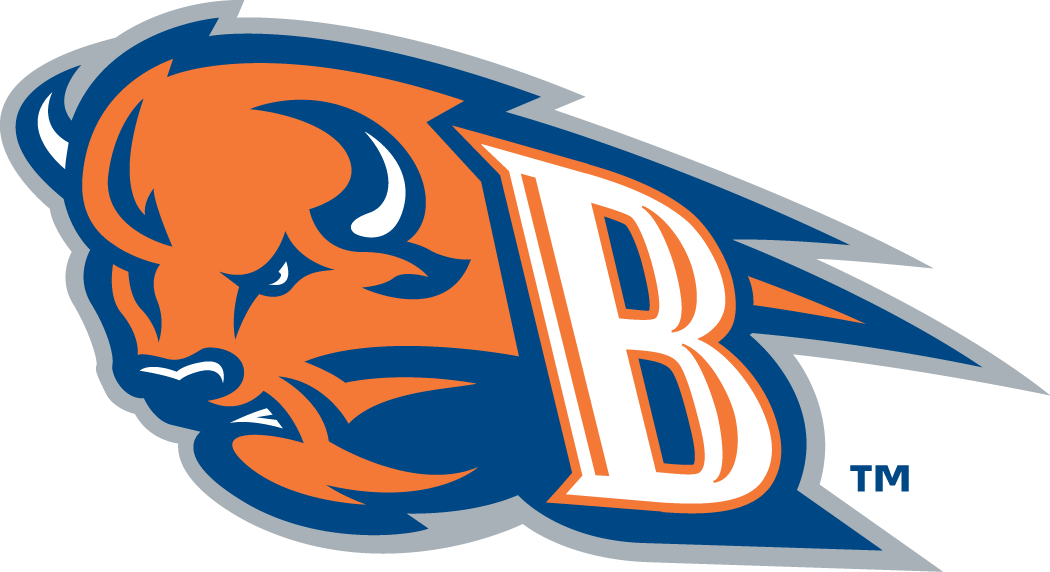 Bucknell Bison 2002-Pres Alternate Logo diy iron on heat transfer